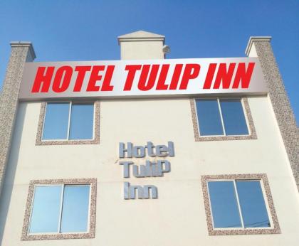 Hotel Tulip inn - image 1