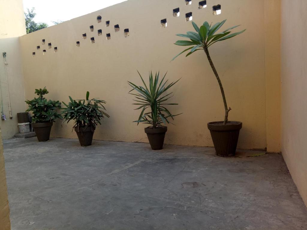 Guest House Lahore - image 2