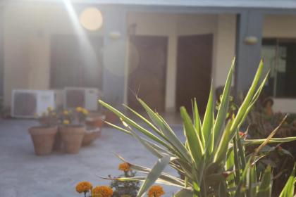 Hotel Sweet Inn - image 4
