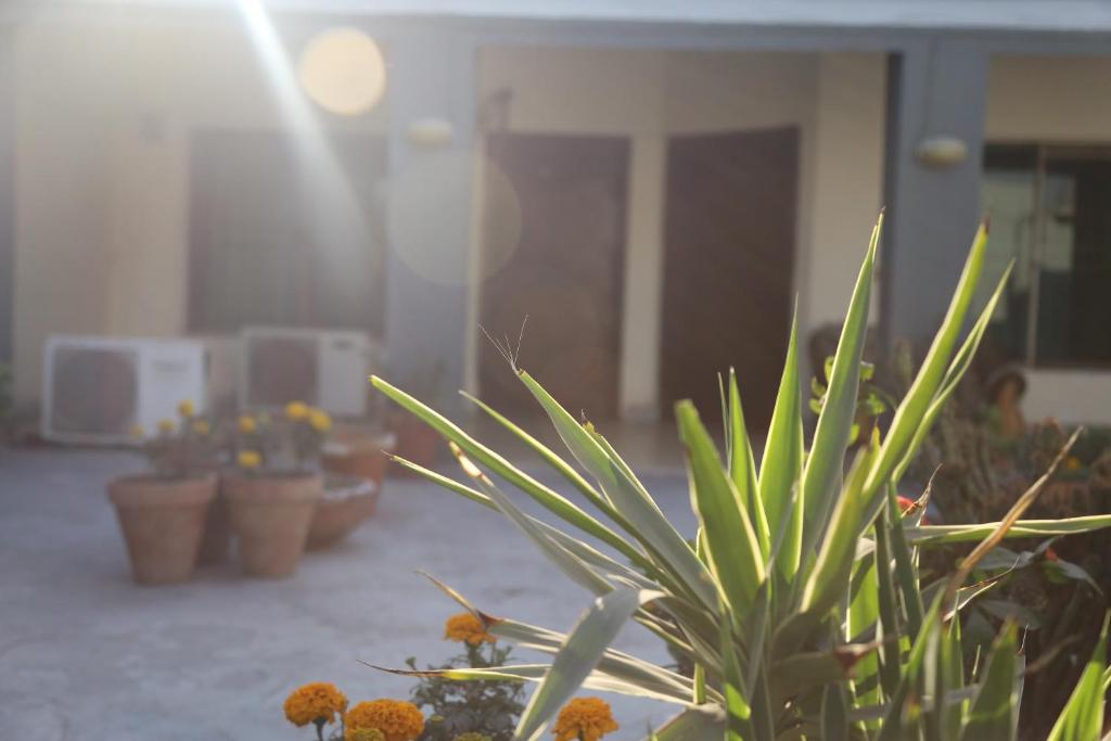 Hotel Sweet Inn - image 4