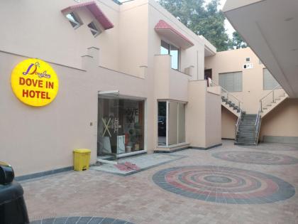 Dove Inn Hotel - image 3