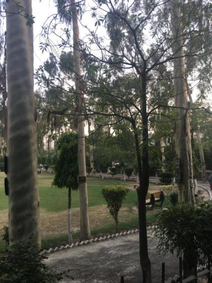 Spacious Apartment in Johar Town - image 15