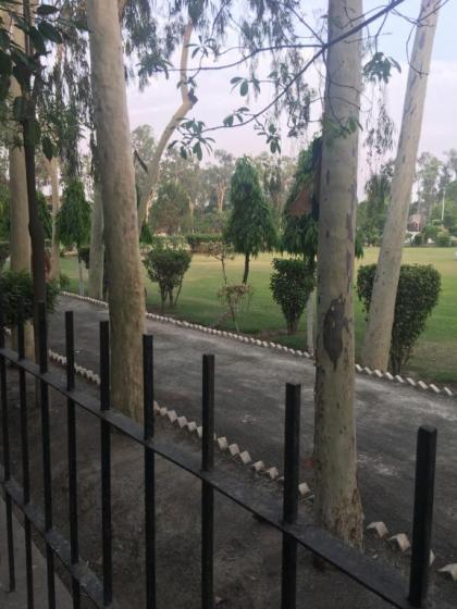 Spacious Apartment in Johar Town - image 17
