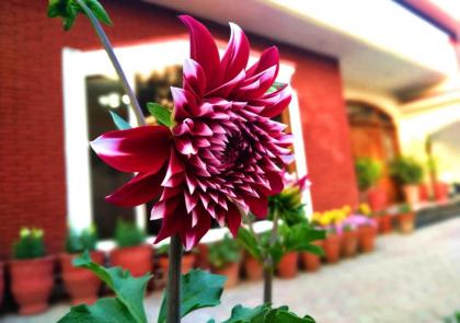 Hotel Gulberg Grand - image 10
