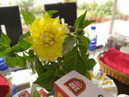 Hotel Gulberg Grand - image 13