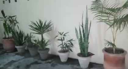 Two Bedrooms Apartment Near to Ring Road - image 12