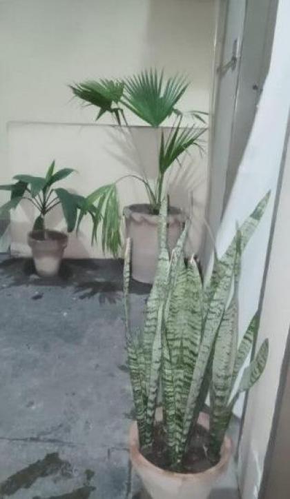 Two Bedrooms Apartment Near to Ring Road - image 14