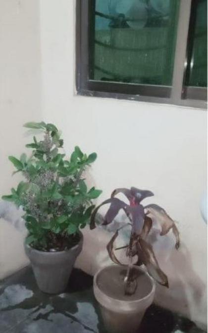 Two Bedrooms Apartment Near to Ring Road - image 6