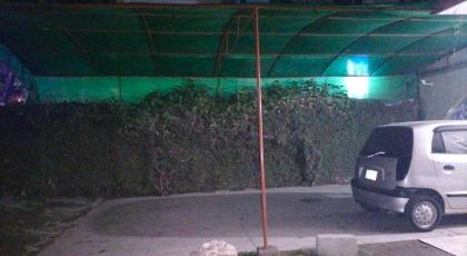 New Kingston Motel - image 20