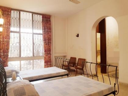 Red Brick Mansion - image 25