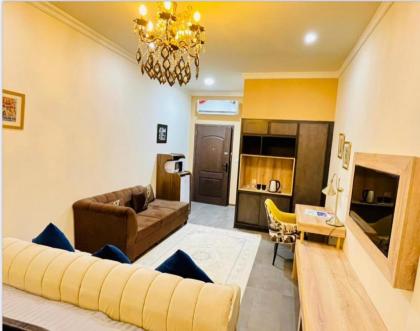 Swan Suites - image 29