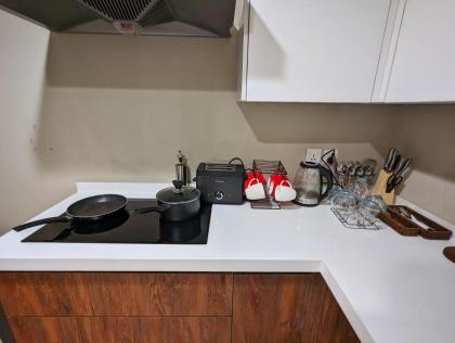 Goldcrest Mall One-bed Penthouse - image 15
