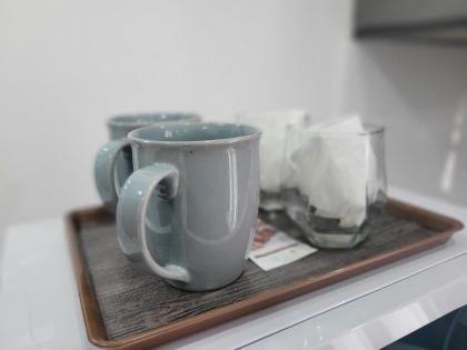 Ultra muse Studio Apartment - image 10