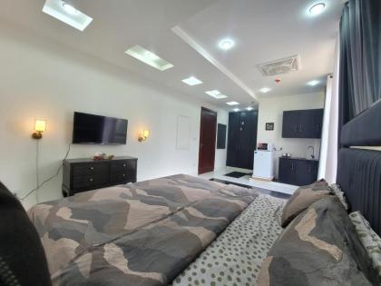 Ultra muse Studio Apartment - image 4